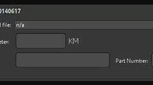 BMW CAS4 MİLEAGE TOOL
